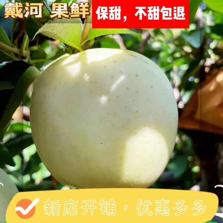 【今日特价】雀斑美人正宗王林苹果奶白鲜果脆甜多汁精品果园直发