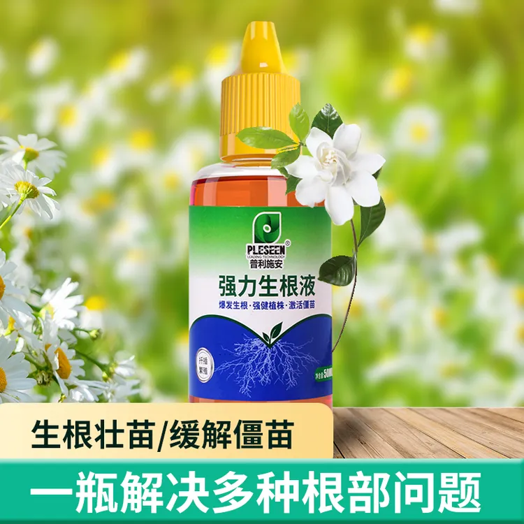 快速强力生根液植物通用生根剂壮苗移栽扦插多肉生根营养液思威博