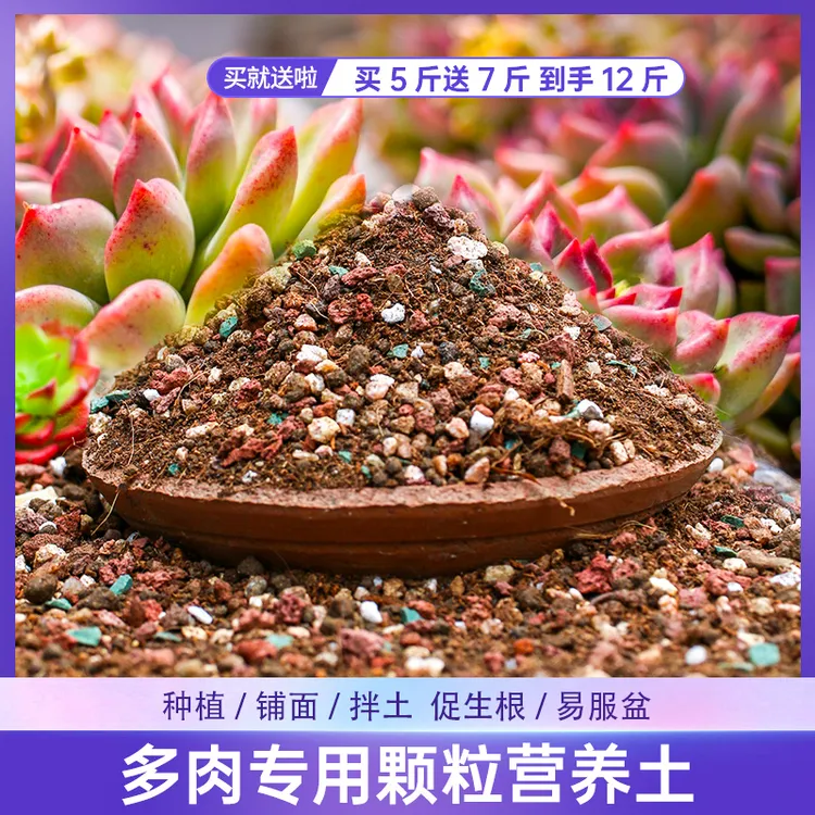 【买5斤送7斤】多肉专用颗粒土控型上色土疏松透气发根进口泥炭土