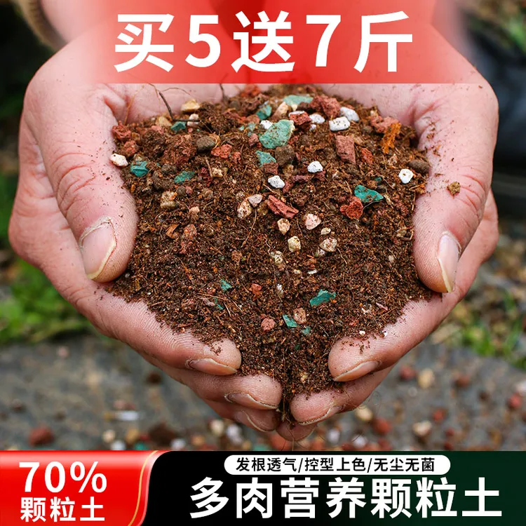 买5斤送7斤颗粒土】无语粉丝专享多肉专用颗粒土控型上色防烂根土