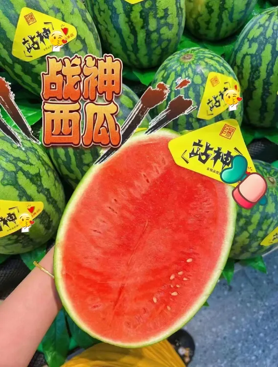 【站神】江苏东台甘美4K白籽西瓜 净重5-9斤 顺丰快递