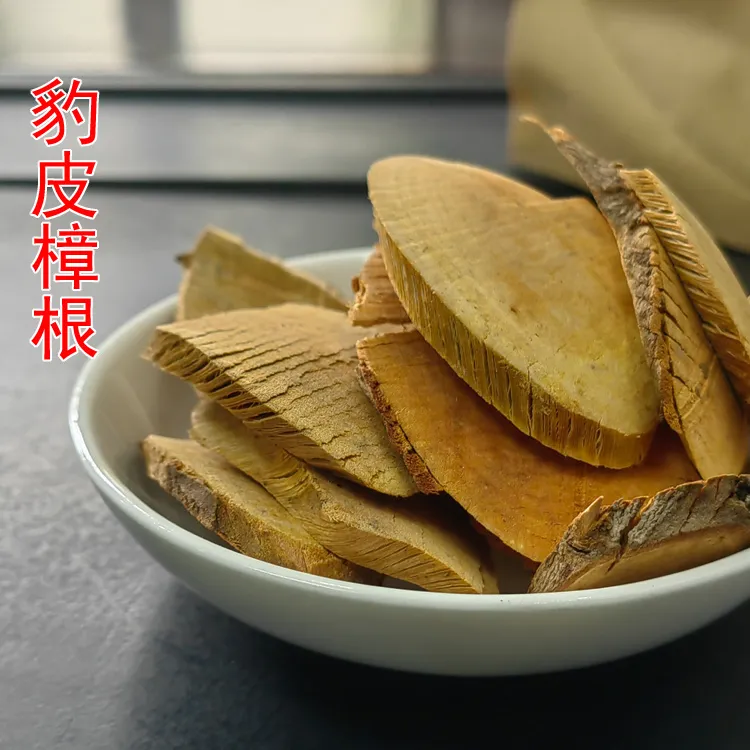 豹皮樟根 别名：扬子木姜子 剥皮枫 花壳柴 花皮樟根 