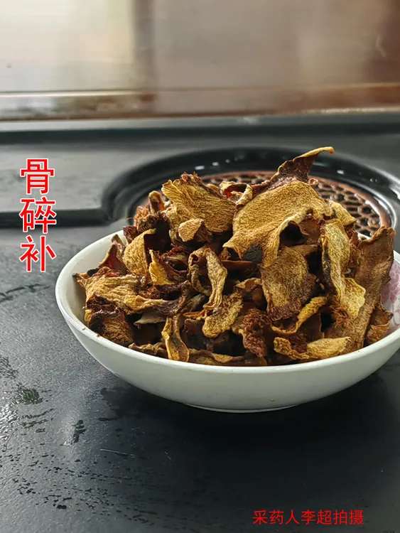 骨碎补 别名：肉碎补 石岩姜 猴姜 毛姜 申姜 爬岩姜