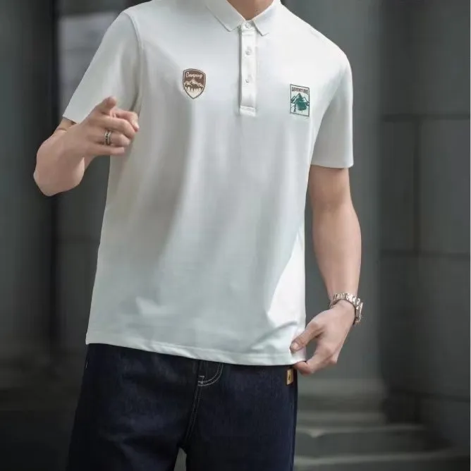 男士短袖t恤夏季2024新款休闲翻领半袖商务polo百搭上衣轻奢