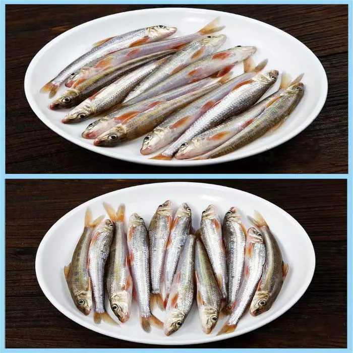 安徽黄湖现铺谈水湖美味棍子鱼 船钉鱼 打船钉鱼3斤装 顺丰包邮