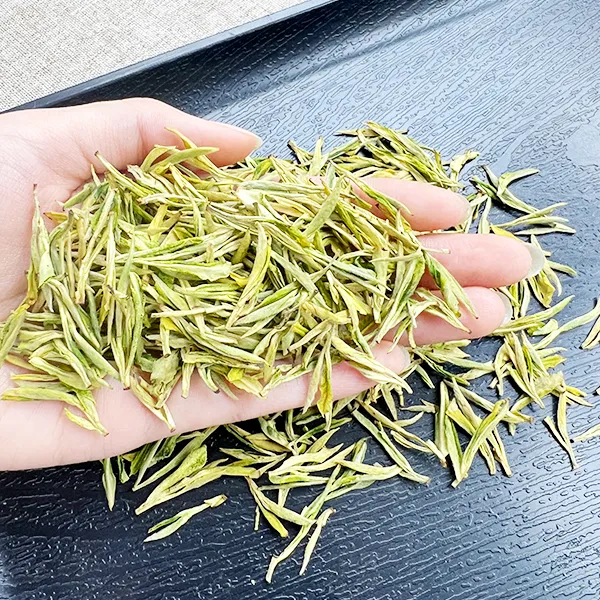 2025年新茶头采早春级白 奶香正宗原产地SJ1500 125g/250g/500g