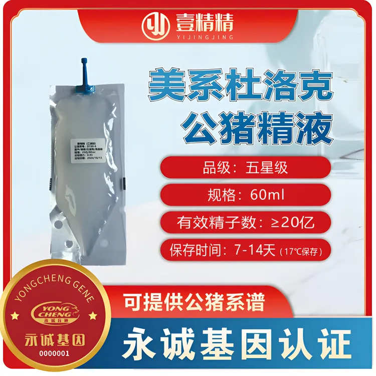 优质美系杜洛克育种级（5星）猪精杜洛克种猪猪用产品牲畜用品