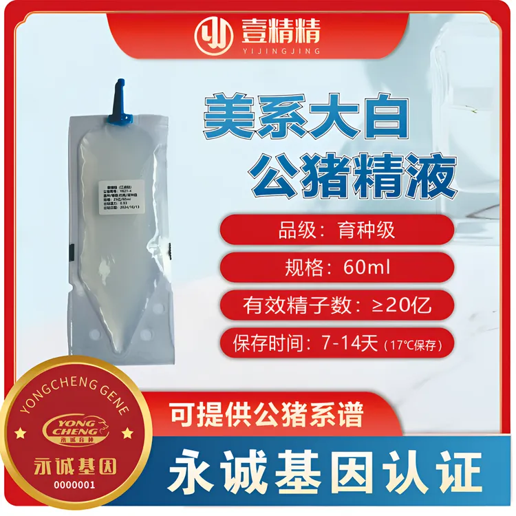 优质美系大白育种级（5星）猪精杜洛克种猪