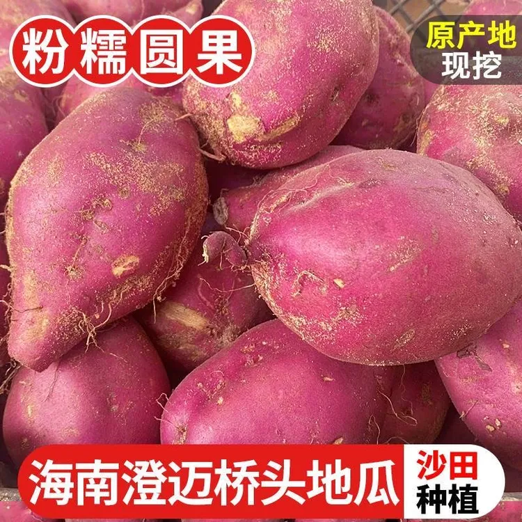 海南澄迈桥头地瓜5斤圆果 新鲜沙地板栗味红薯软糯香甜番薯