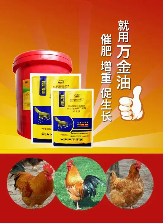 万金油：5代让鸡早出栏，增肥，增重，长黄皮，黄油