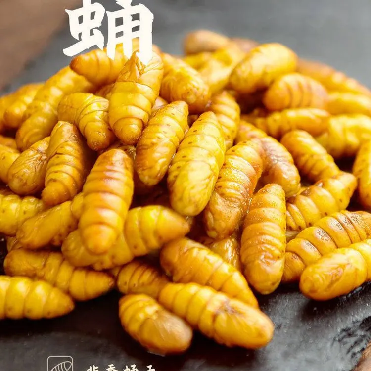 新鲜蚕蛹4斤 金丝蛹不加盐鲜活冷冻农家桑蚕蛹山东特产黄金蛹
