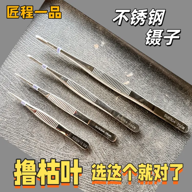 304不锈钢镊子加厚加硬尖嘴原嘴防滑镊子-撸枯叶种植工具