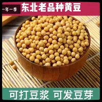 东北黑龙江黄豆农家自产大黄豆五谷杂粮豆浆非转基因5斤         