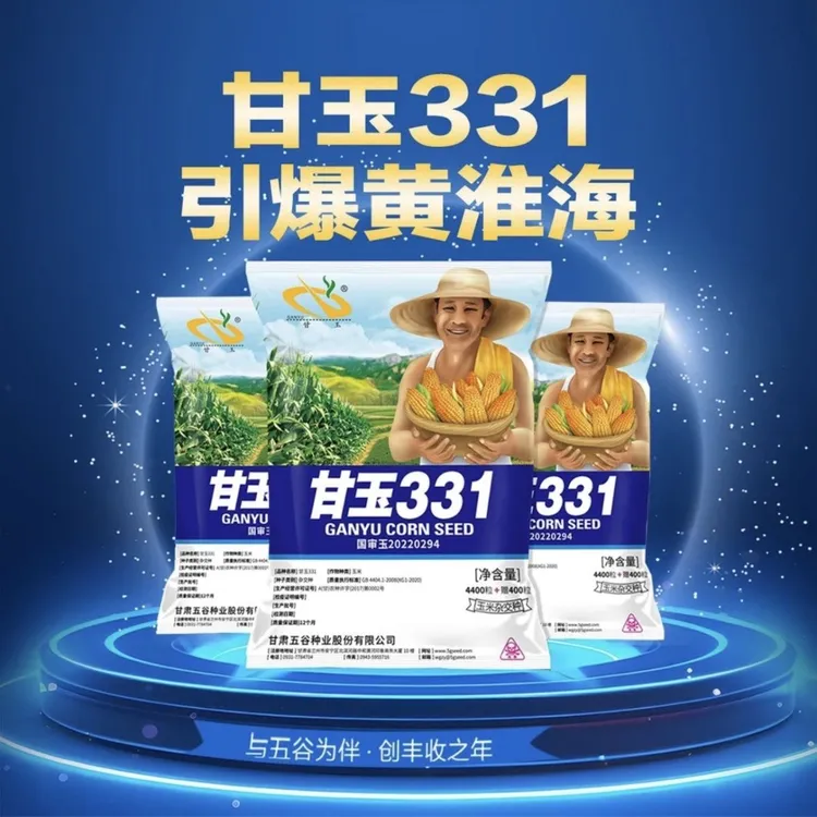 甘玉331玉米杂交种(4000粒+400粒/袋)高产抗病耐高温玉米种