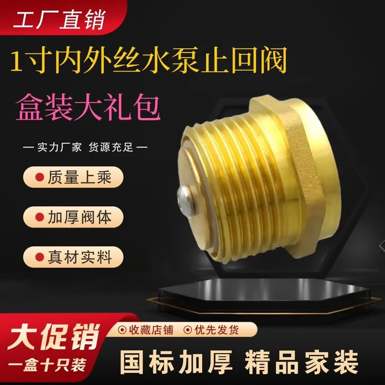 止回阀内外全铜水泵进出水专用单向阀自吸泵倒流弹簧止回水阀水阀
