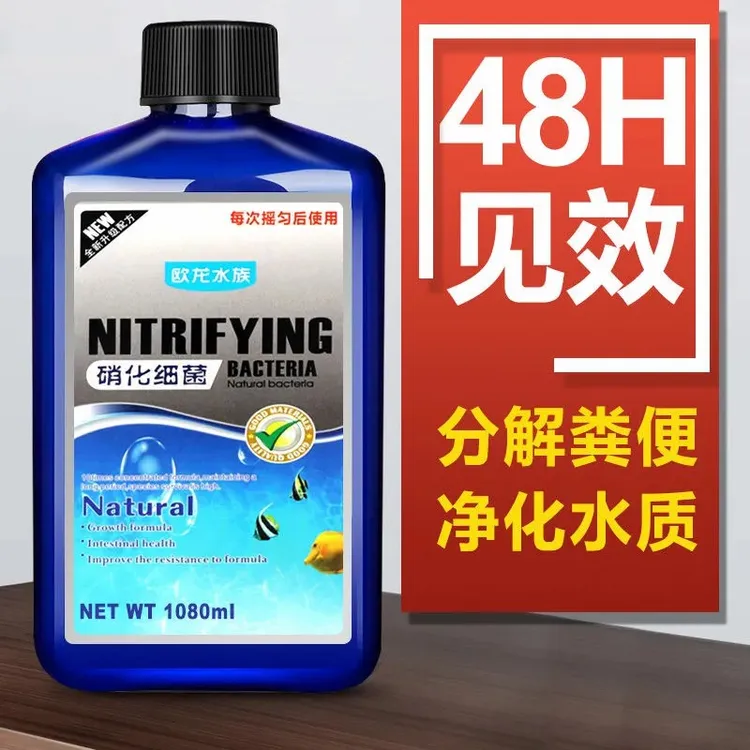 硝化细菌水族消化细菌鱼缸净水剂液体淡海水硝化菌换水养鱼用品