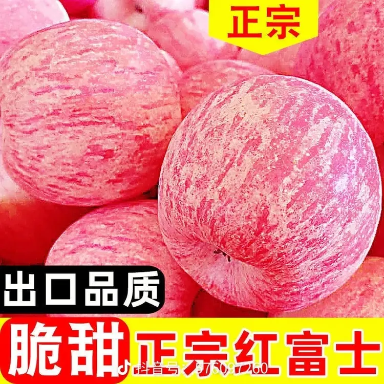正宗烟台苹果水果苹果富士苹果栖霞苹果红富士苹果新鲜营养健康