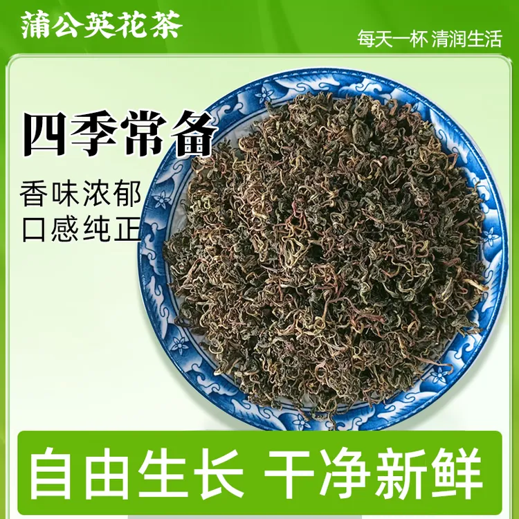 纯手工炒制蒲公英茶新鲜新货可搭配菊花四季灭火经久耐泡男女通用