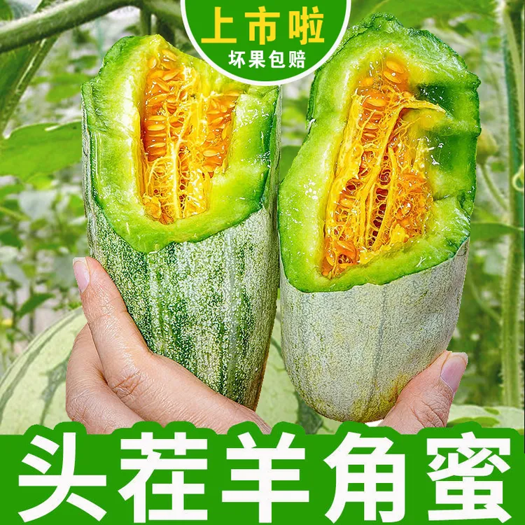 山东头茬羊角蜜甜瓜新鲜当季水果脆甜多汁甜瓜3-5斤【坏果包赔】