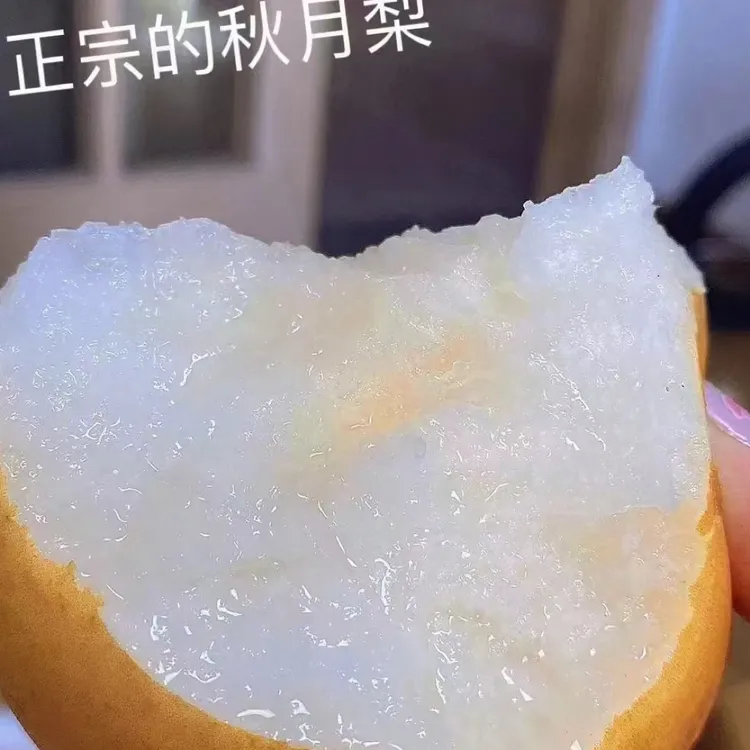 山东莱阳秋月梨5斤7斤现摘现发下单当天从莱阳发货品质保证