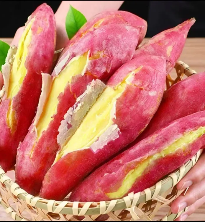 陕西板栗红薯粉面干甜小香薯天目山番薯烤地瓜蜜薯现挖现发包邮