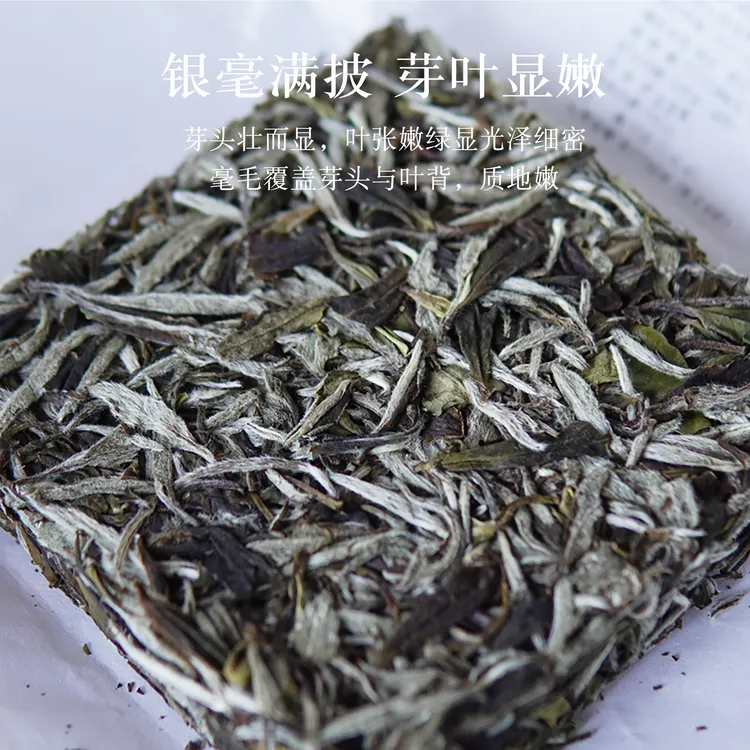 致然茗白21年傲雪青松福鼎白茶白牡丹正宗花香品牌特级轻压茶叶