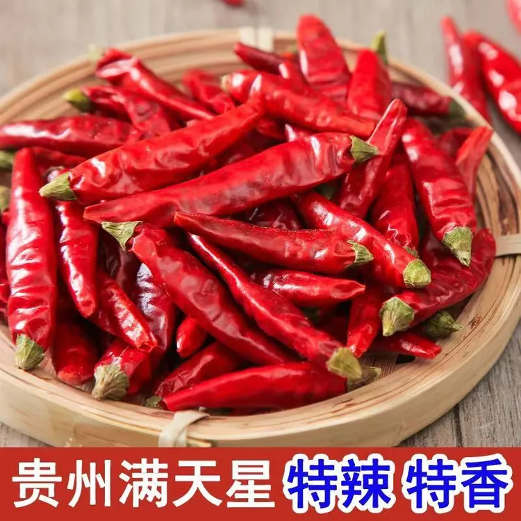 贵州满天星干辣椒500g遵义本地土特产特辣特香辣朝天椒干辣椒种植