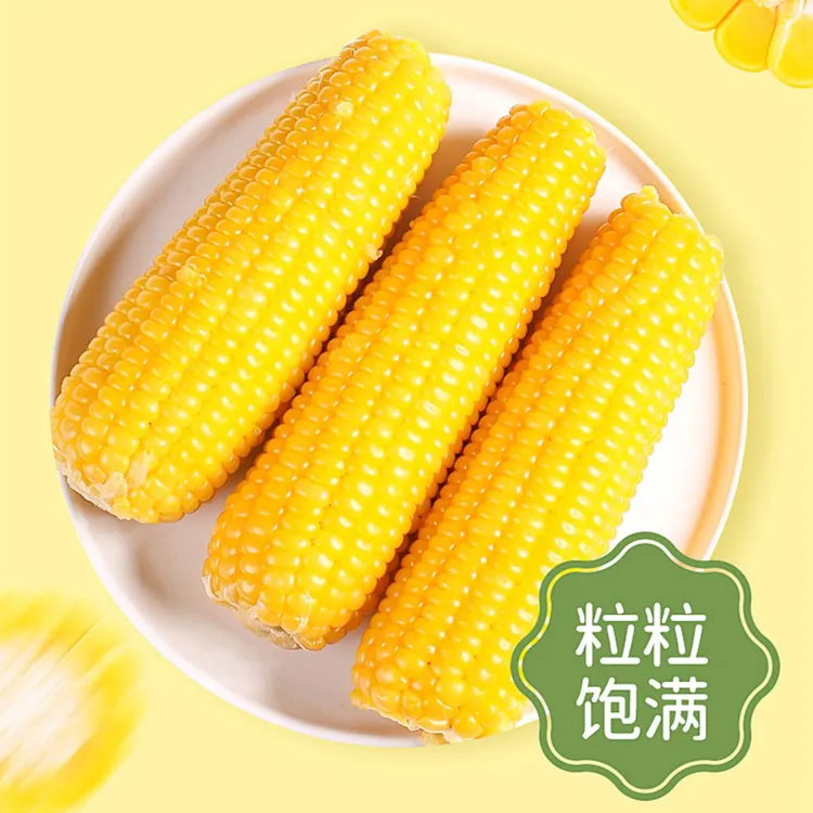 【25年头茬新黄糯玉米】5斤装新玉米东北粘苞米8至10穗（试吃2穗）
