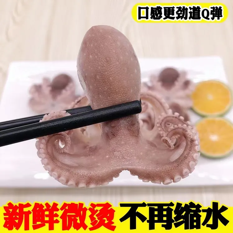 新到渤海熟八爪鱼（半干）2-4斤新鲜