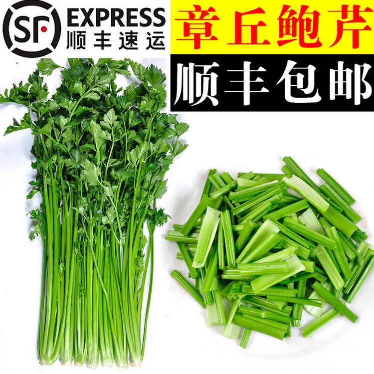 正宗山东章丘鲍芹净芹劲脆爽口新鲜蔬菜特产直销绿色芹菜顺丰包邮