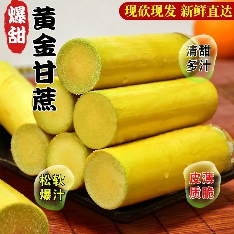 广西黄金甘蔗农家现砍新鲜应季清甜多汁脆甜黄皮甘蔗新鲜水果整件