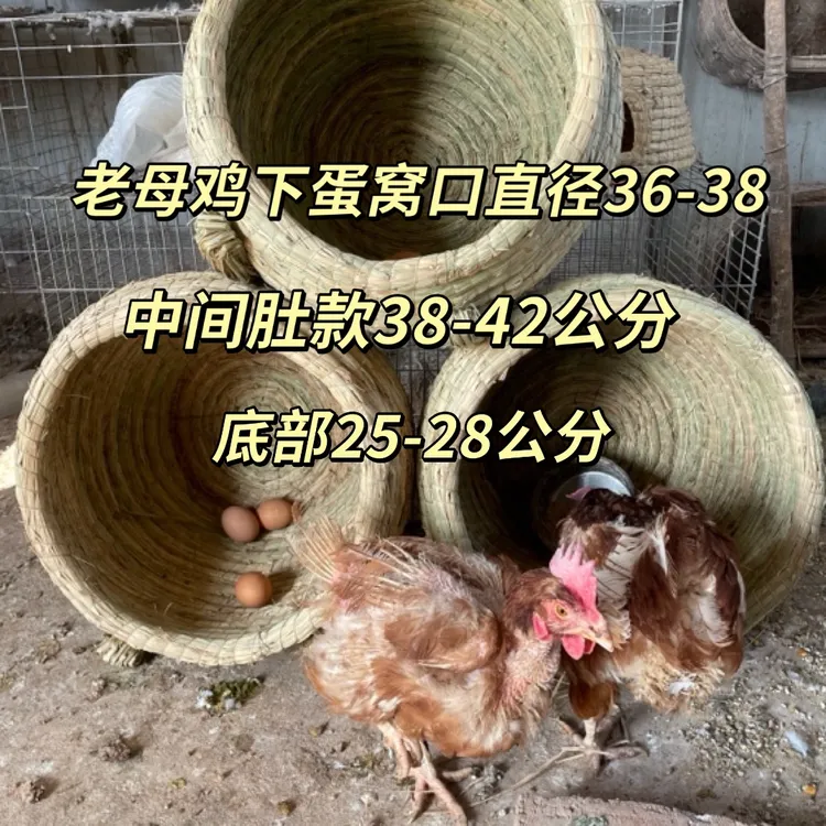 老母鸡下蛋专用特大款草窝营造天然健康环保无毒适合五斤以上鸡用