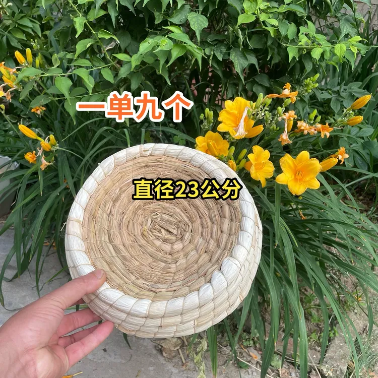 22公分鸽窝一单九个、信鸽、观赏鸽专用