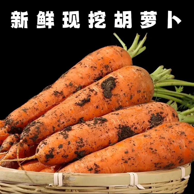 山西 25 年新鲜带泥胡萝卜太行山高山旱地维生素