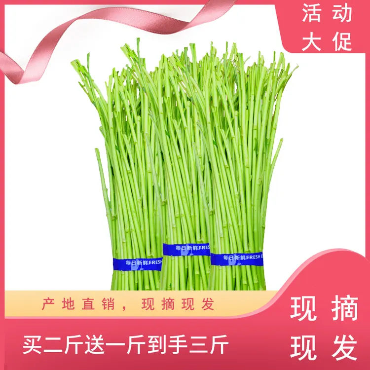 [买二斤送一斤]到手三斤头茬芦蒿优选选择手工去叶去老根现摘现发