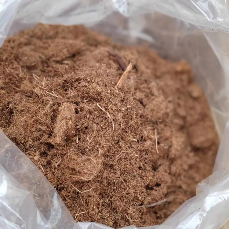 宝莲灯专用泥炭土营养丰富高温发酵