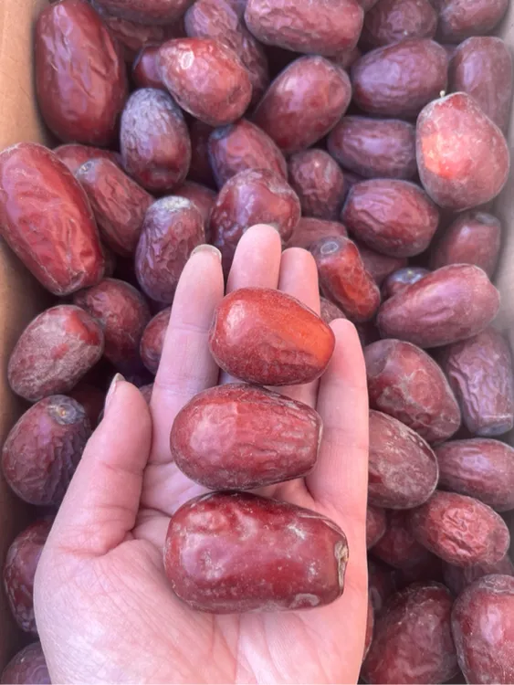 2025年和田大枣2斤试吃带土带沙原生态