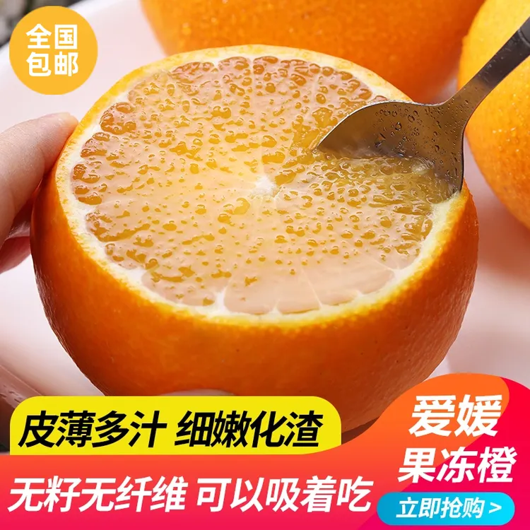 【现摘现发】2025年四川眉山爱媛果冻橙 皮薄多汁 甜蜜化渣 5-9斤