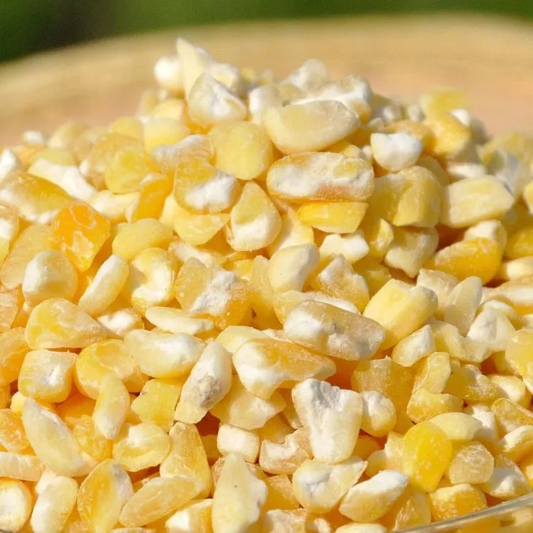 东北粘碴子5斤包邮（全部倒出来通风处保存）