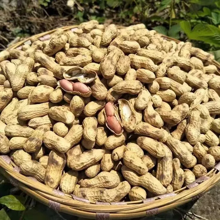 农村柴火炒花生现炒现发休闲小零食焦香酥脆