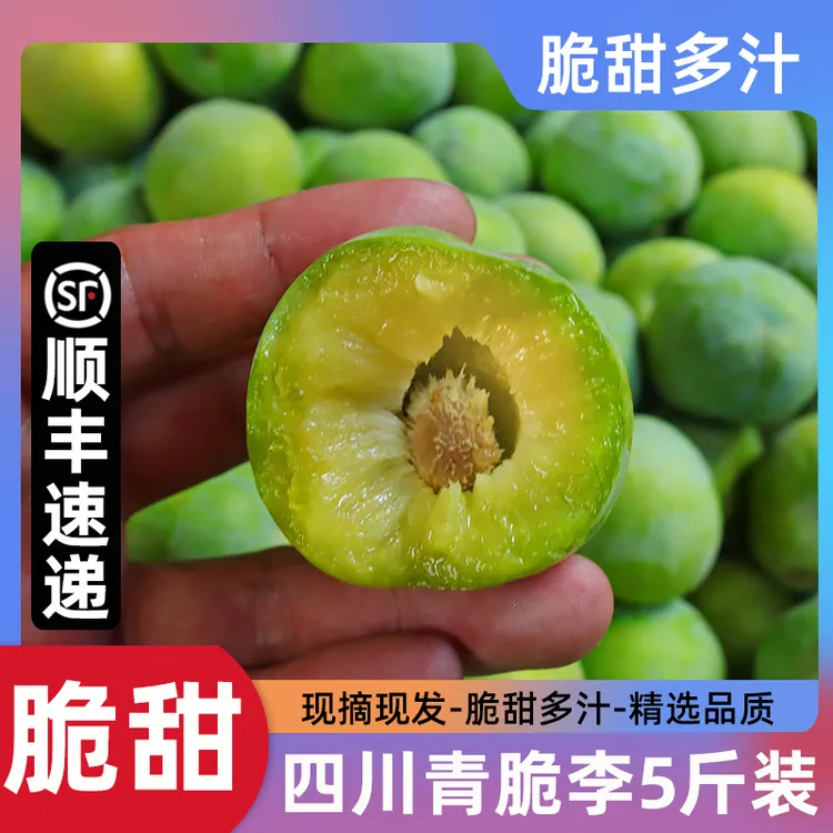 【顺丰冷链-坏果包赔】四川汶川青脆李脱骨李子土李子