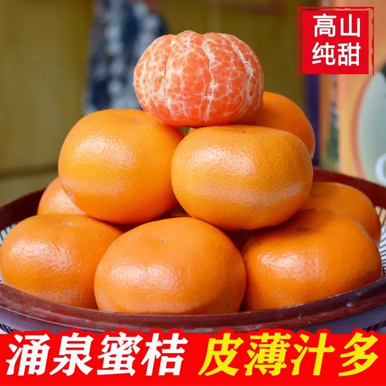 【顺丰包邮】正宗临海涌泉蜜桔整箱当季水果新鲜桔子无核蜜橘