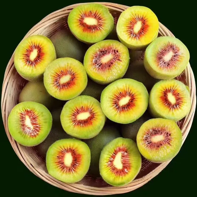 四川蒲江正宗红心猕猴桃新鲜孕妇当季奇异果多汁香甜孕妇适宜水果