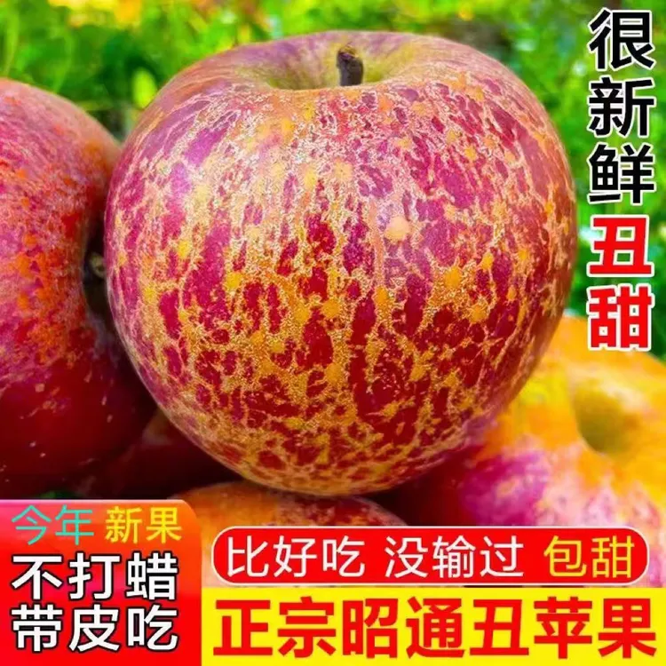 云南昭通山野当季新鲜脆甜冰糖心丑苹果果园直发实惠冰糖心苹果