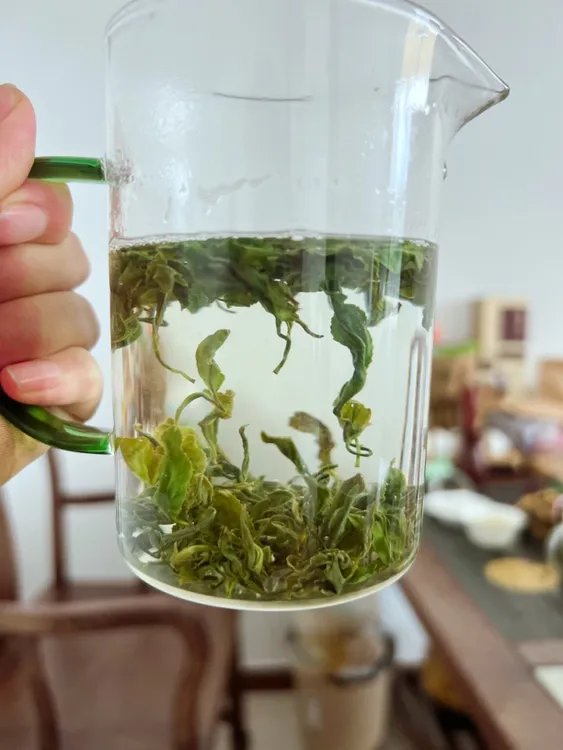 2025日照绿茶浓香型板栗香搭配日照红茶蜜薯香红茶送保温杯