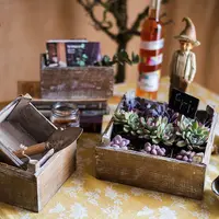 【七呀】不规则原木盒子花盆花器花盒工具盒杂货花园装饰园艺