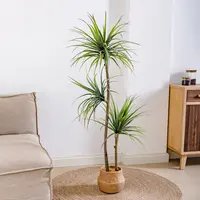 掬涵【推荐】轻奢仿真绿植龙舌兰千年木植物室内客厅装饰落地盆景