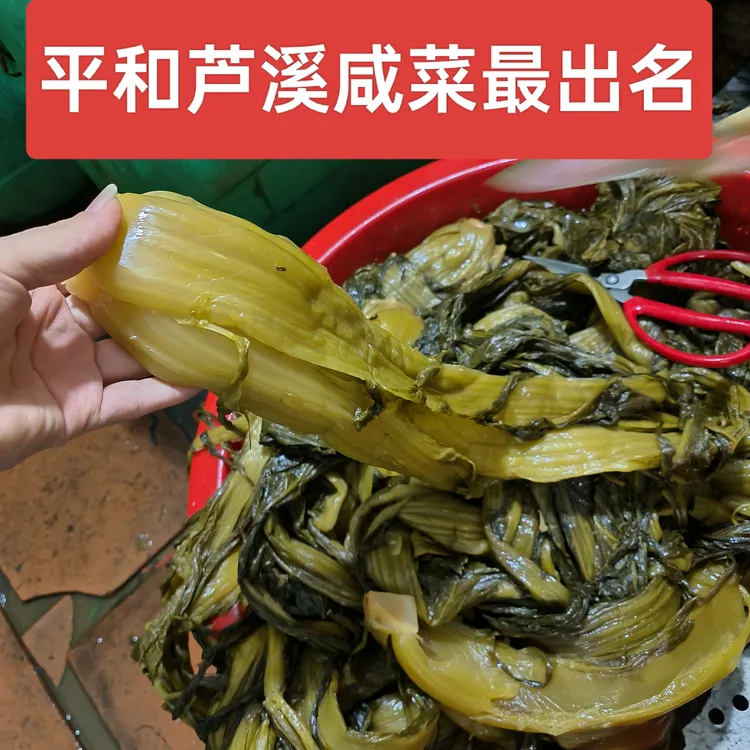 林旭优选咱平和正宗芦溪农家咸菜老坛腌制腌菜芥菜开胃下饭菜