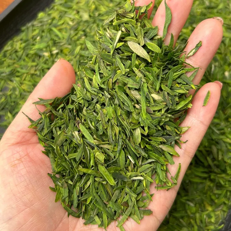 【2024年新茶】明前碎茶片雨花碎茶口粮茶雀舌头采春茶125g250g