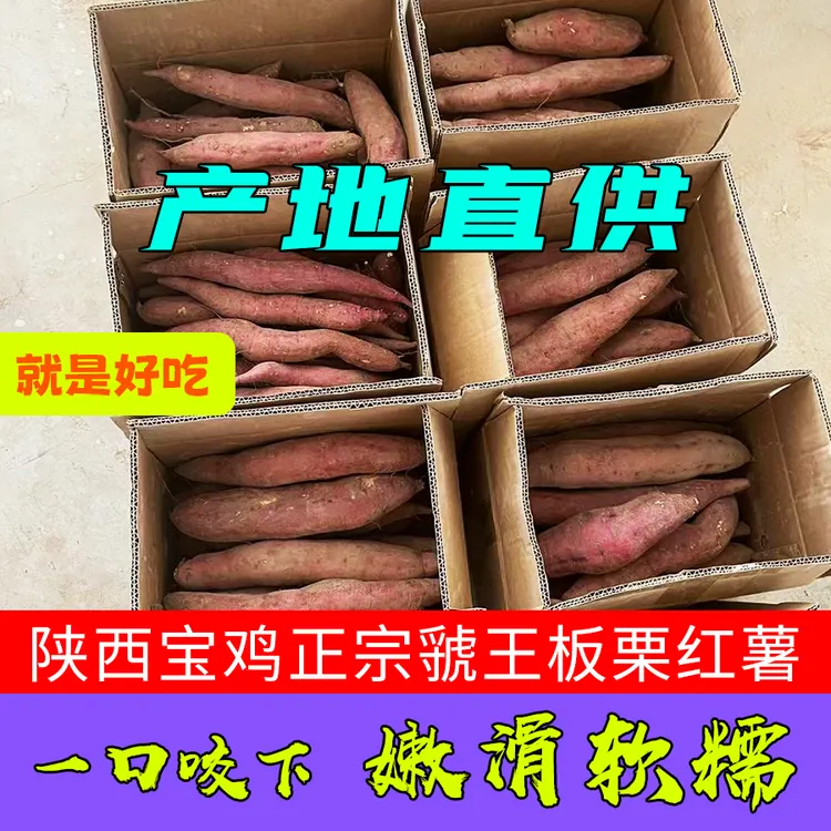 陕西宝鸡虢王板栗红薯5斤9斤现挖现发小番薯山芋地瓜干面甜烤红薯